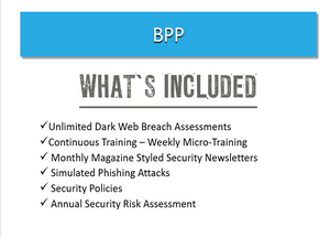 BPP Webinar