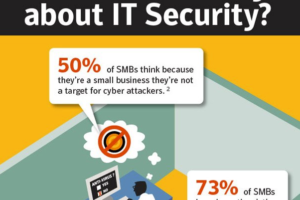 Infographic: Should Small Business Worry about IT Security?