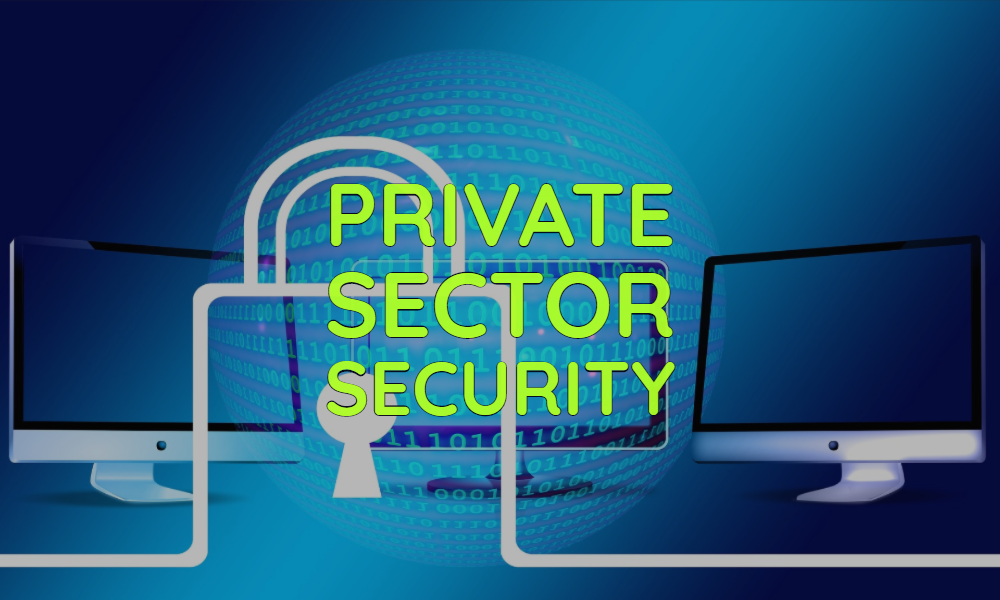 Private Sector Security