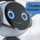Chatbots and Human Error